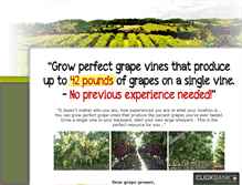 Tablet Screenshot of my-grape-vine.com